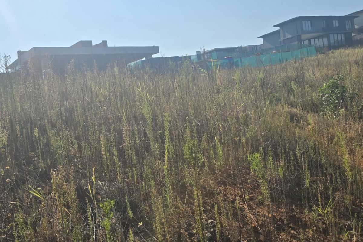 A view of a vacant residential plot featuring sloped terrain and natural vegetation, situated within an established neighborhood.