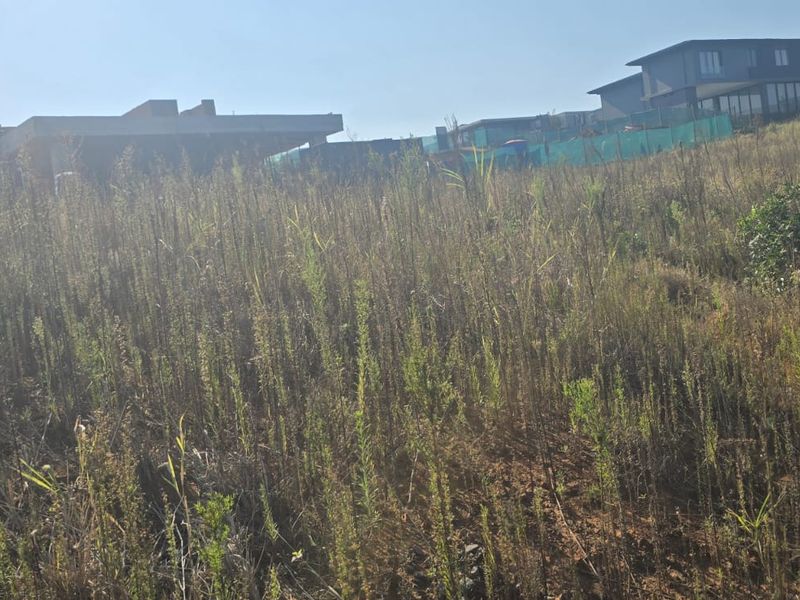 A view of a vacant residential plot featuring sloped terrain and natural vegetation, situated within an established neighborhood.