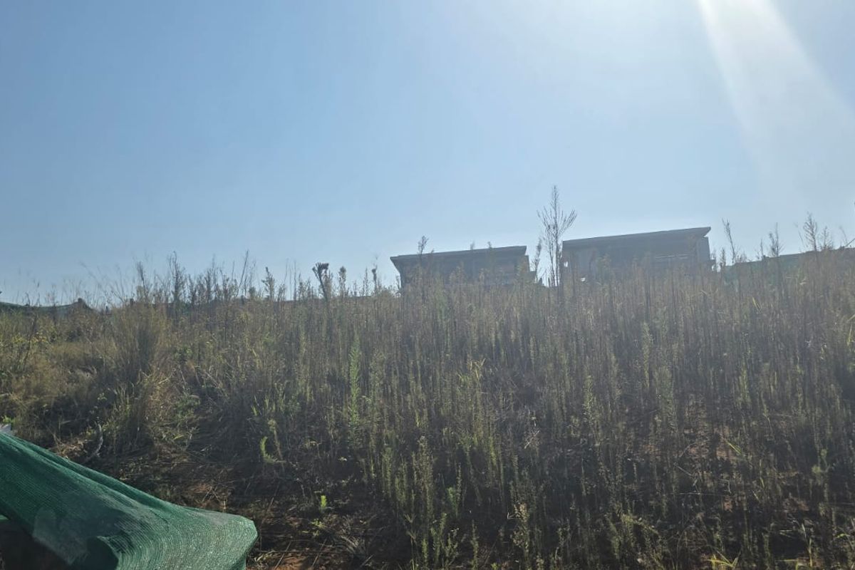 A view of a sloped, vacant residential plot featuring overgrown vegetation and surrounding neighborhood structures.
