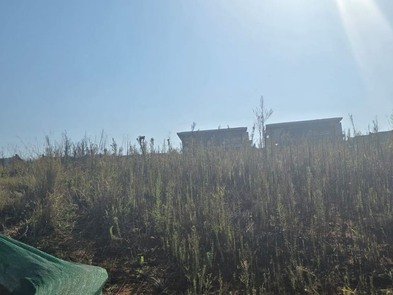 A view of a sloped, vacant residential plot featuring overgrown vegetation and surrounding neighborhood structures.
