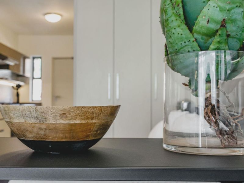 Ultra Modern and Spacious 1 Bedroom 1 Bathroom Apartment - Photo 10