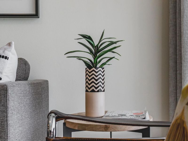 Ultra Modern and Spacious 1 Bedroom 1 Bathroom Apartment - Photo 8