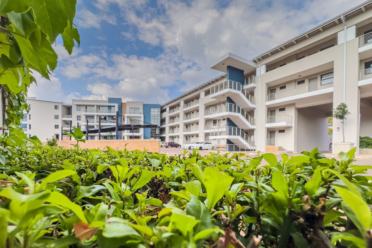 Ultra Modern and Spacious 1 Bedroom 1 Bathroom Apartment - Photo 3