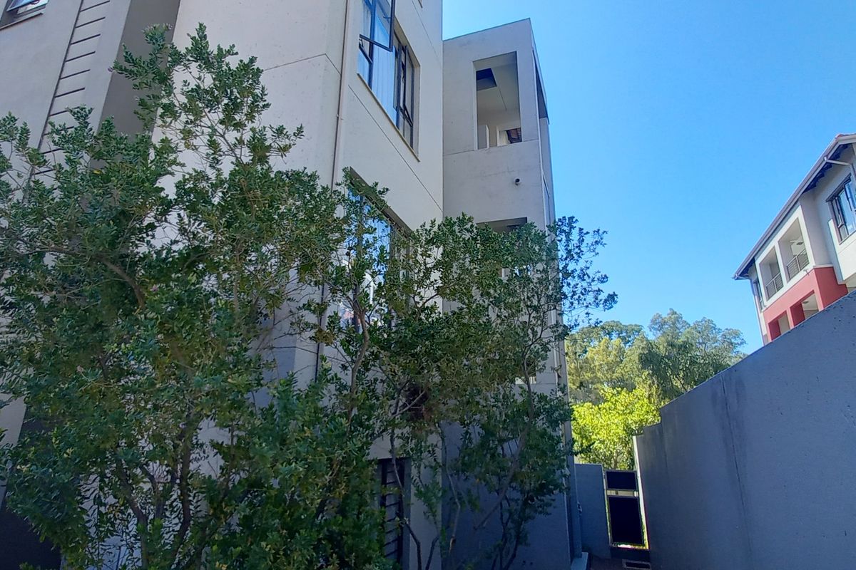A view of the rear exterior facade of the cluster property, featuring modern plastered walls, aluminium window frames, and a boundary wall.