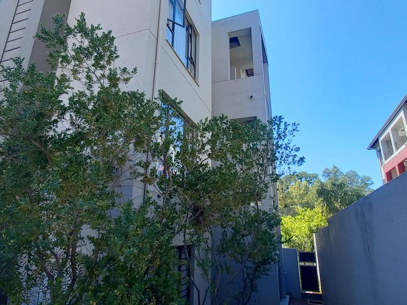 A view of the rear exterior facade of the cluster property, featuring modern plastered walls, aluminium window frames, and a boundary wall.