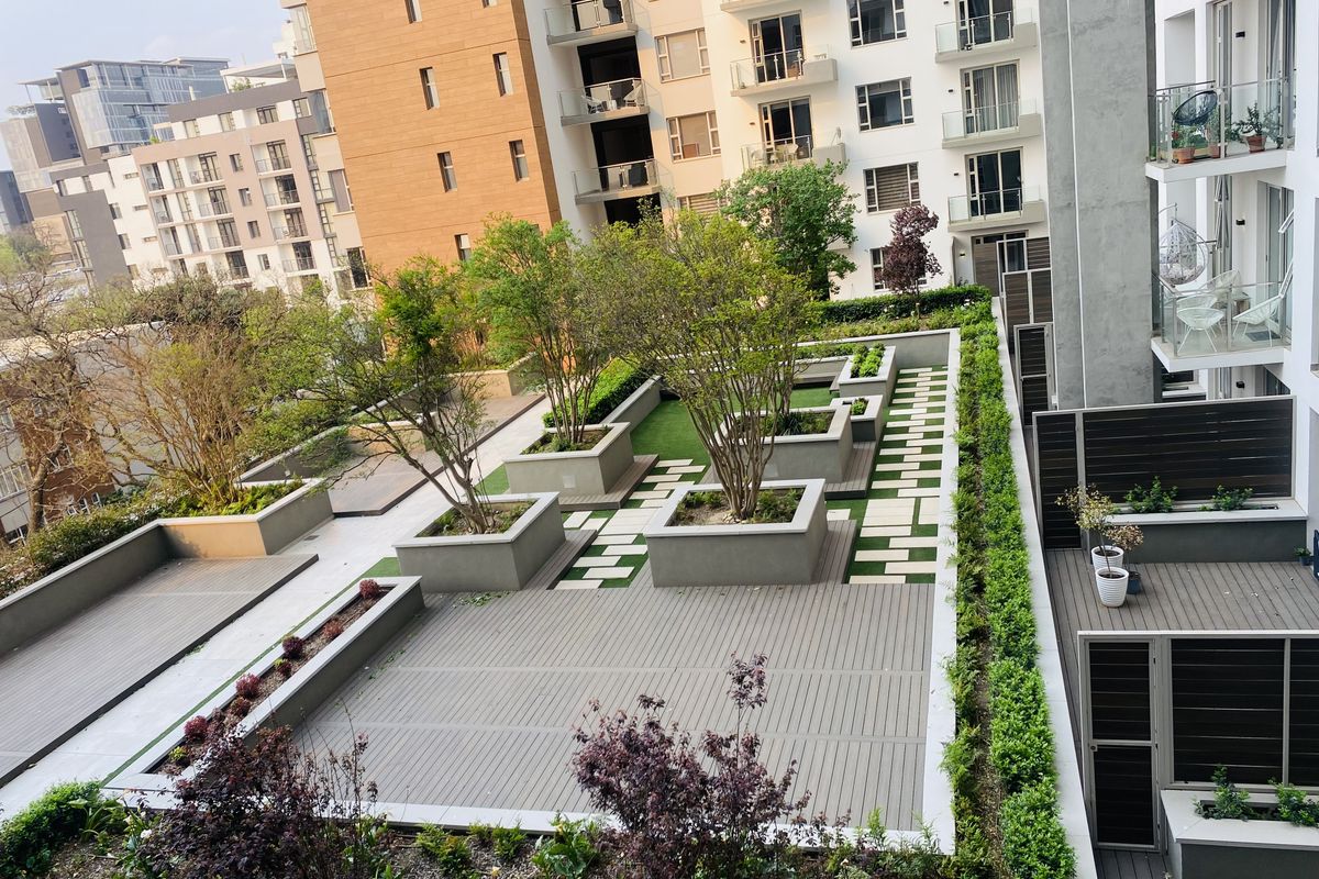 A well-maintained communal rooftop garden featuring composite decking, raised planters with mature trees, paver pathways, and manicured hedging within an apartment complex.