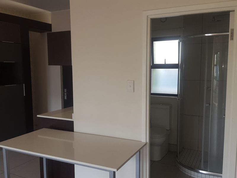 Open plan kitchen area featuring modern dark cabinetry and stone countertops, with an adjacent bathroom containing a shower and toilet.