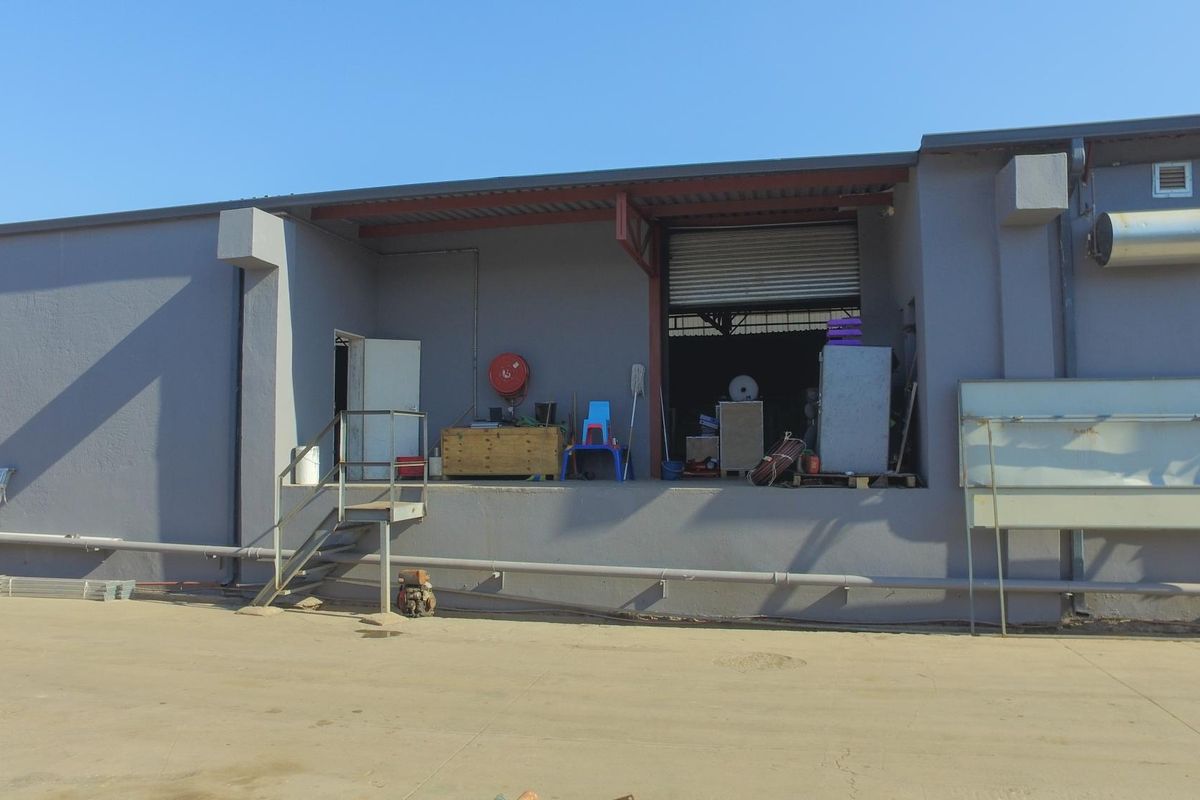 Industrial rear exterior view featuring a raised loading dock, roller shutter door access, and external fire safety equipment.