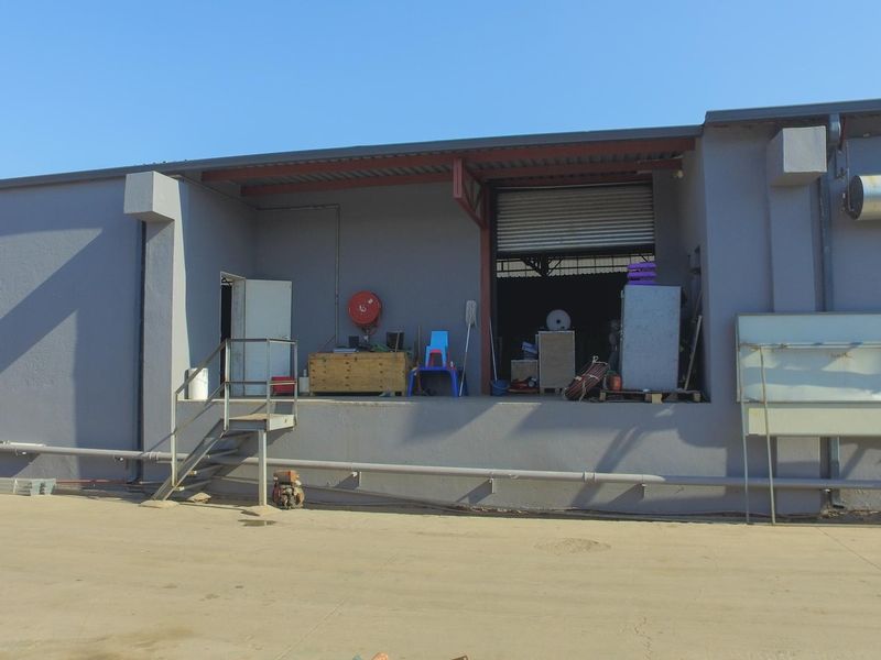 Industrial rear exterior view featuring a raised loading dock, roller shutter door access, and external fire safety equipment.