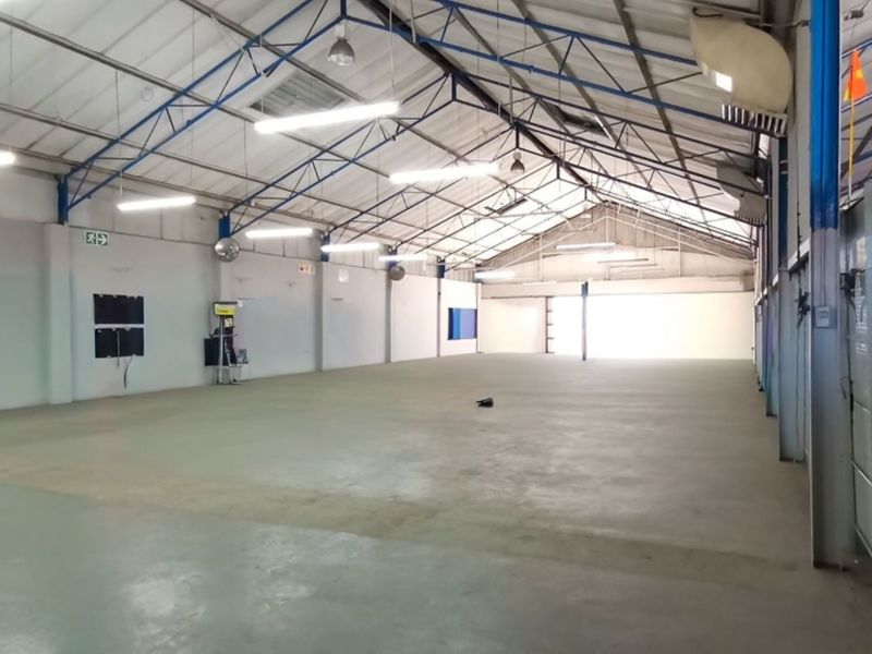 Spacious industrial retail warehouse featuring high ceilings with exposed steel trusses, concrete flooring, and ample natural light from the rear roller shutter door.