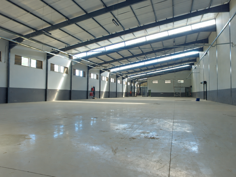 Spacious industrial warehouse unit featuring high ceilings with exposed steel trusses, polished concrete flooring, and ample natural light through integrated skylights.