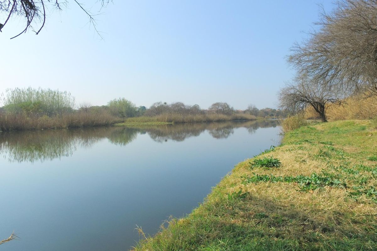 A scenic view of the river frontage featuring natural vegetation and calm water, highlighting the tranquil landscape of the vacant land.