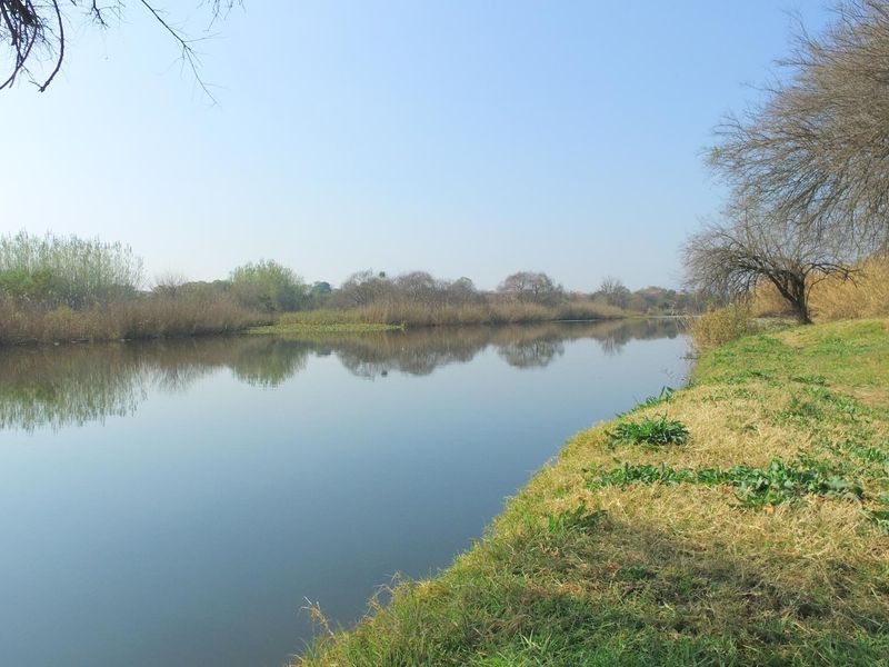A scenic view of the river frontage featuring natural vegetation and calm water, highlighting the tranquil landscape of the vacant land.