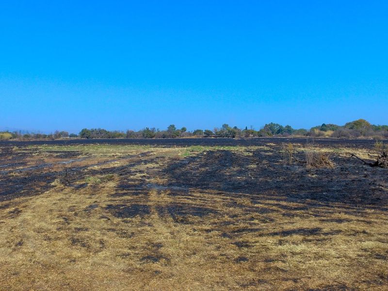 A wide view of a vacant commercial land plot showing signs of recent fire damage across the ground surface.