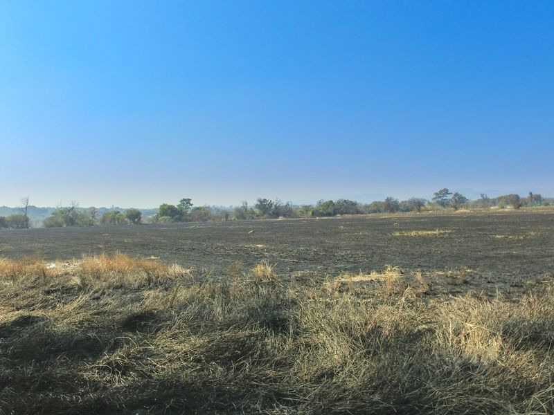 A wide-angle view of a large, open commercial vacant land plot featuring natural vegetation and signs of recent ground clearing.
