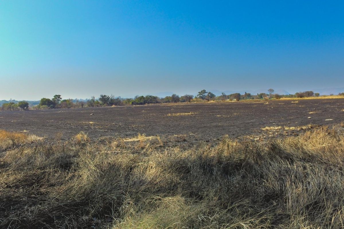 A wide-angle view of a large, vacant commercial land plot featuring cleared, scorched earth and natural vegetation under a clear blue sky.