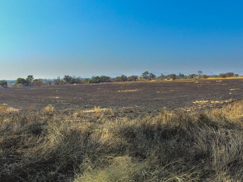 A wide-angle view of a large, vacant commercial land plot featuring cleared, scorched earth and natural vegetation under a clear blue sky.