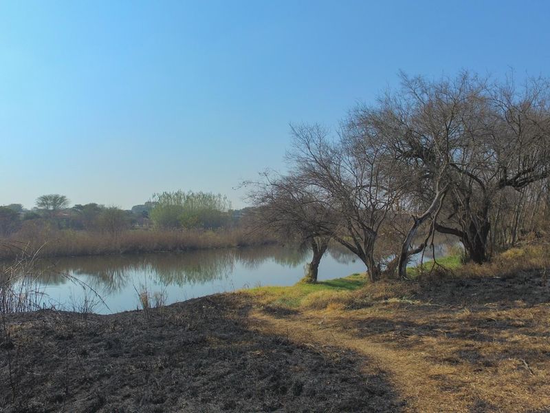 A scenic view of the river frontage on the vacant commercial land, featuring natural trees and riverbank access.