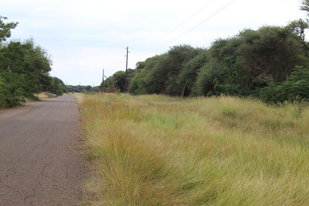 A view of an asphalt road bordering a vacant commercial land plot with native vegetation and overhead utility infrastructure.