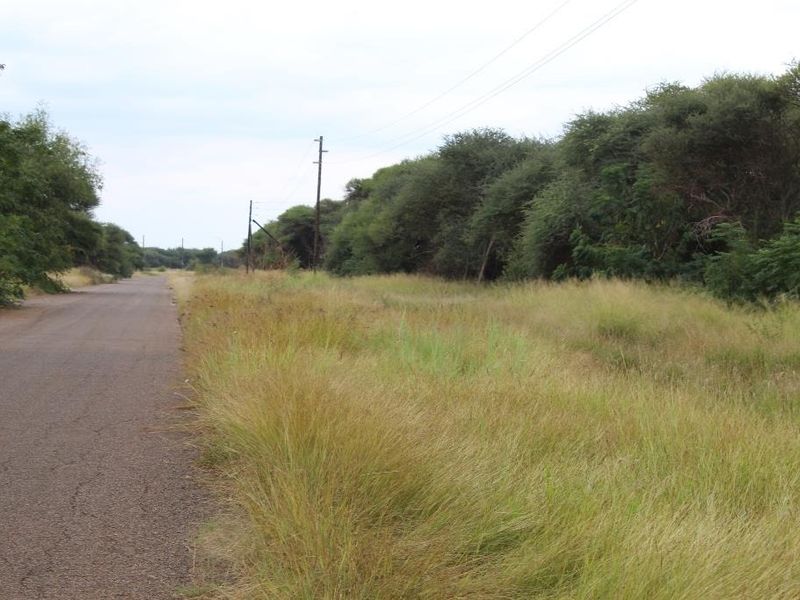 A view of an asphalt road bordering a vacant commercial land plot with native vegetation and overhead utility infrastructure.