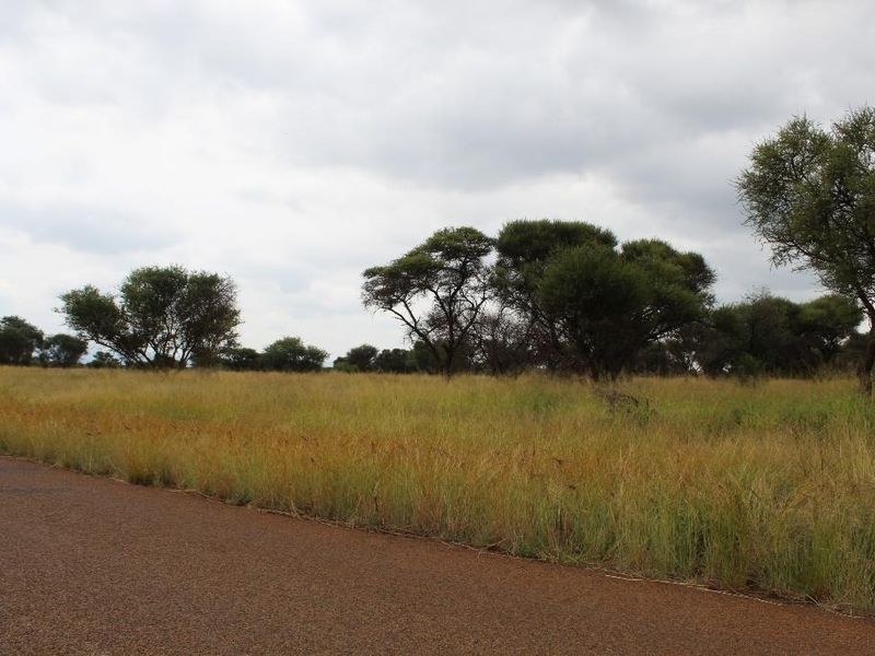 A view of the vacant commercial land parcel featuring natural vegetation and direct access from the adjacent asphalt road.