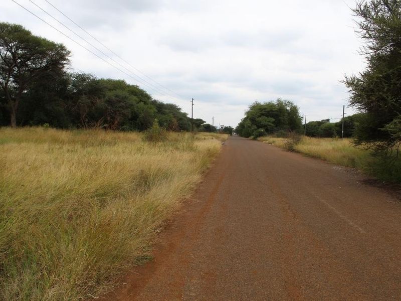 A view of an unpaved access road bordered by natural vegetation and utility infrastructure on a vacant commercial land plot.