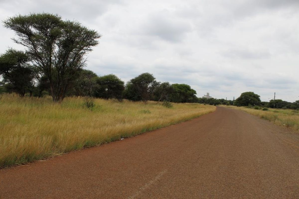 A view of an unpaved road leading through a vacant commercial land plot with native trees and grass.