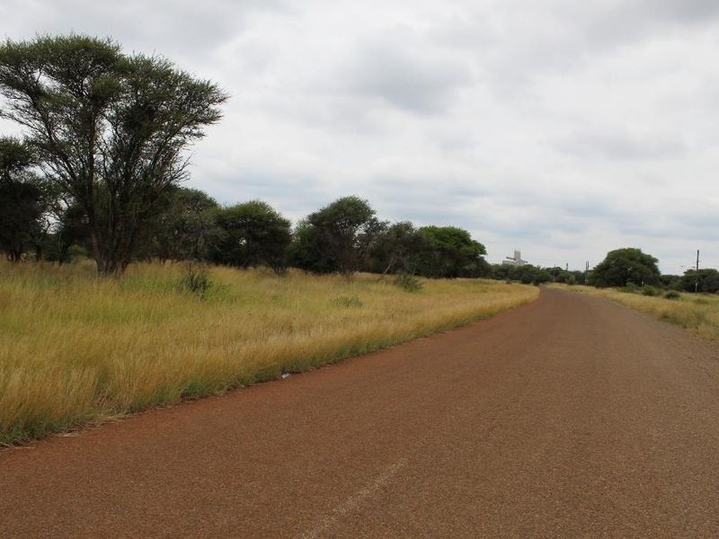 A view of an unpaved road leading through a vacant commercial land plot with native trees and grass.