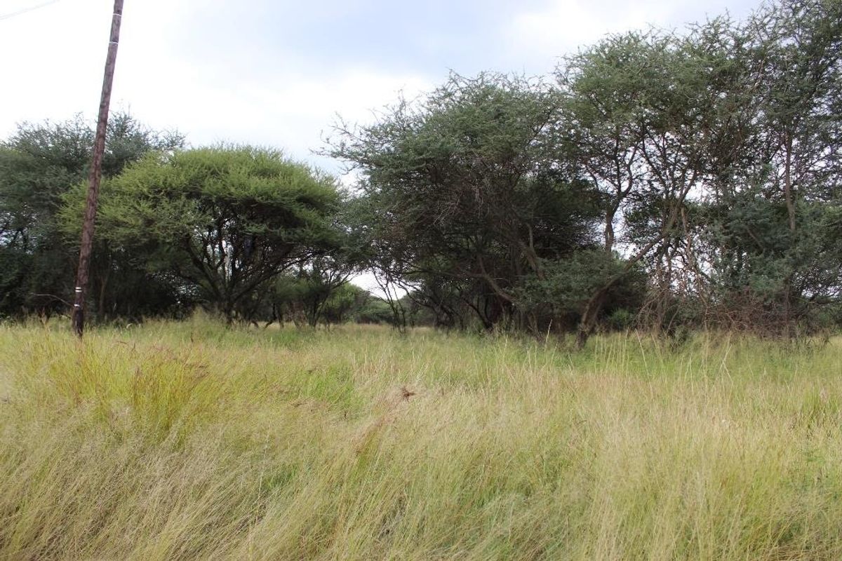 A view of a vacant commercial land plot featuring natural grassland and mature indigenous trees with an existing utility pole on site.