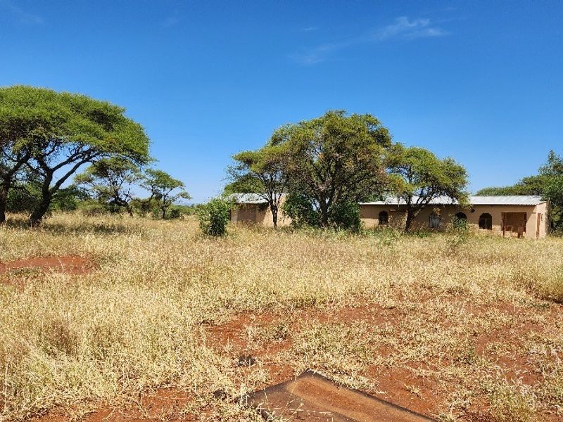 A view of a single-story commercial structure situated on a large, undeveloped plot of land with mature trees and dry grass.