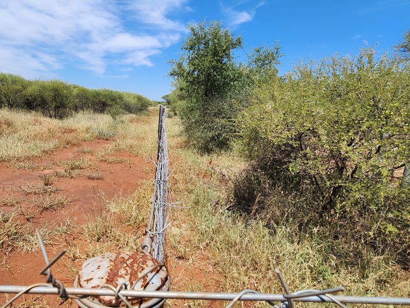 A view of the vacant land perimeter featuring wire fencing and natural bushveld vegetation under a clear blue sky.