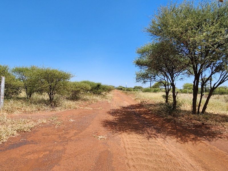 A view of a dirt access road leading into a vacant commercial land plot, featuring natural vegetation and perimeter fencing.