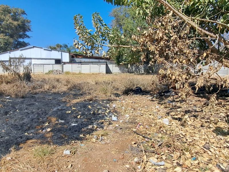 A view of the rear section of the vacant commercial land, featuring a precast concrete boundary wall and mature trees.