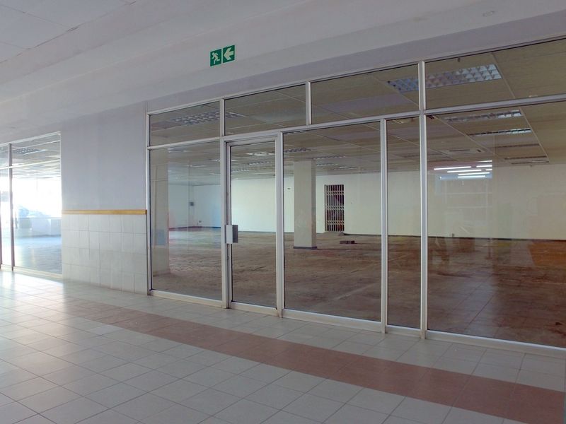 Vacant retail space featuring a large glass storefront, suspended ceiling with recessed lighting, and tiled flooring, suitable for various commercial business applications.