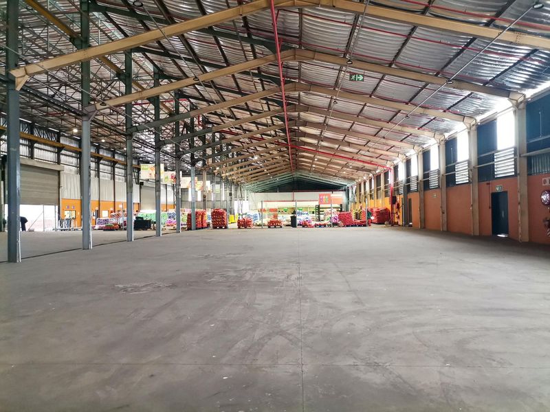 Spacious industrial warehouse featuring high-clearance steel truss roofing, concrete flooring, and integrated fire sprinkler systems, suitable for logistics or manufacturing operations.