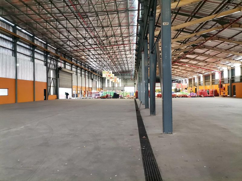 Spacious industrial warehouse featuring a high-clearance steel portal frame, polished concrete flooring, and integrated linear drainage, suitable for logistics or manufacturing operations.