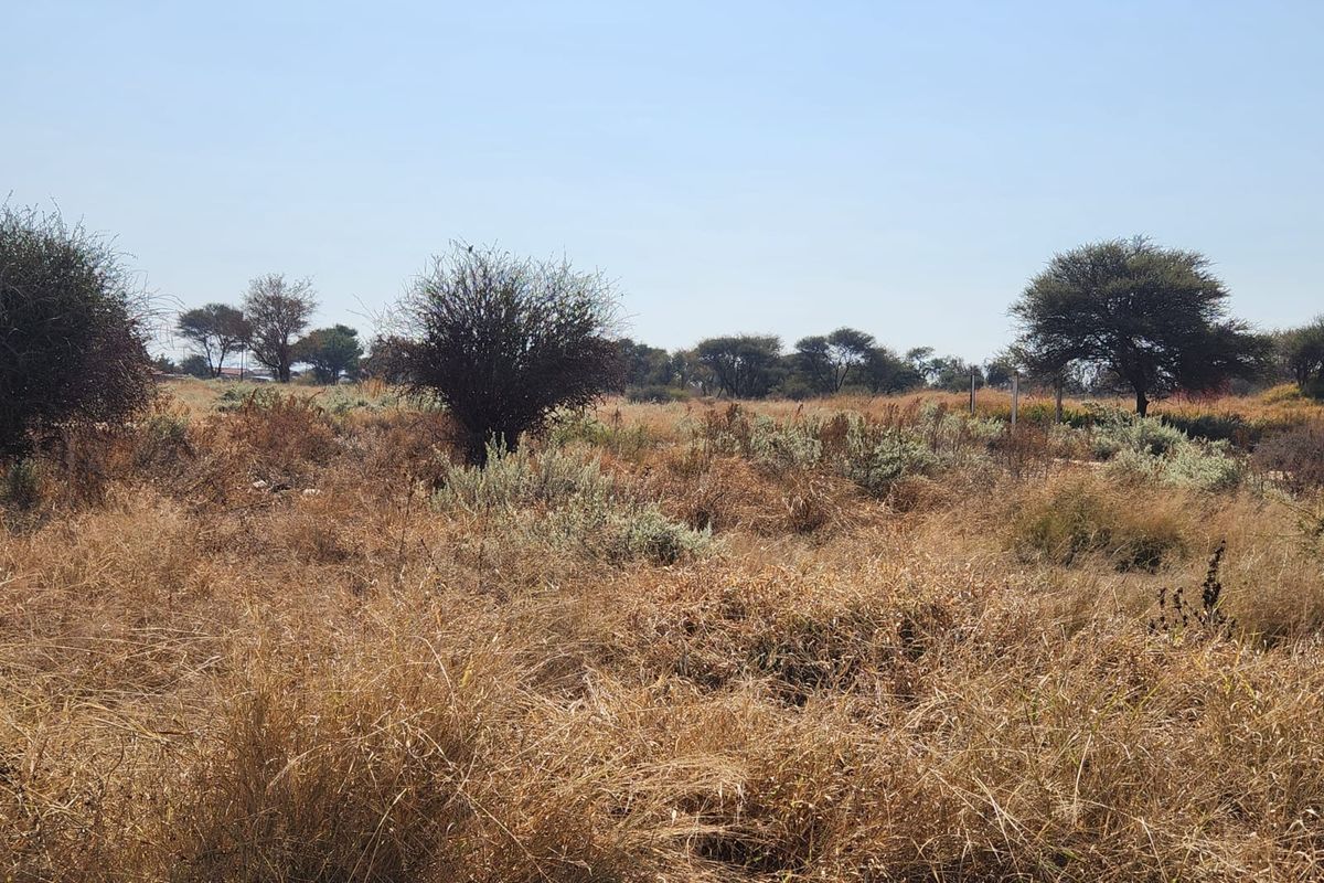 A view of the vacant commercial land featuring natural dry grass and established trees across the open plot.