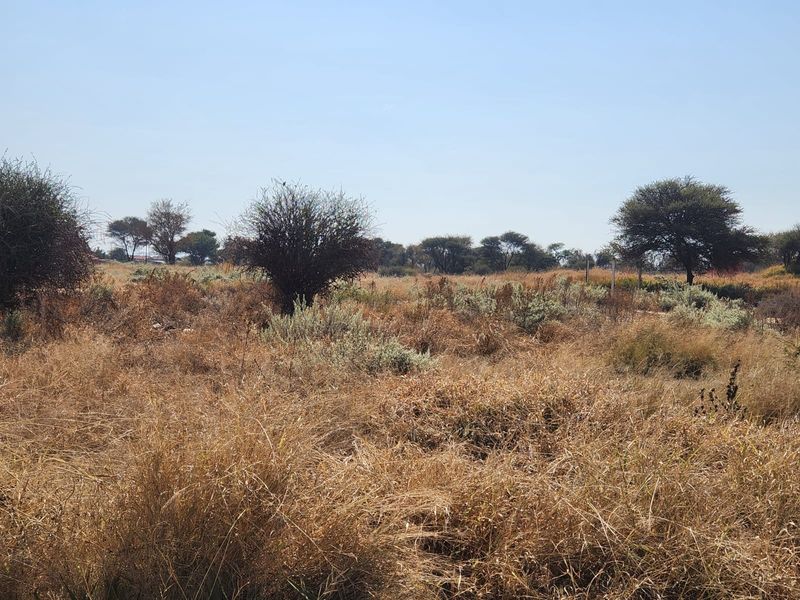 A view of the vacant commercial land featuring natural dry grass and established trees across the open plot.