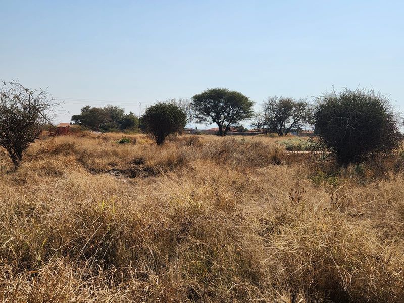 A view of a vacant commercial land plot featuring natural vegetation and open space, suitable for future development.