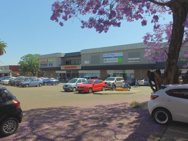 A view of a commercial shopping center exterior featuring a paved parking lot and various storefronts with signage.