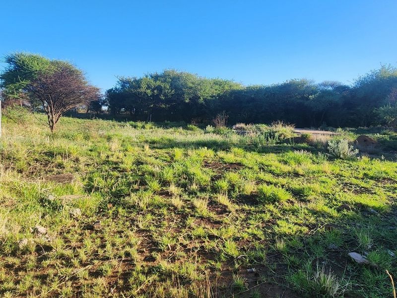A view of the vacant commercial land featuring natural grass cover and established trees across the property.