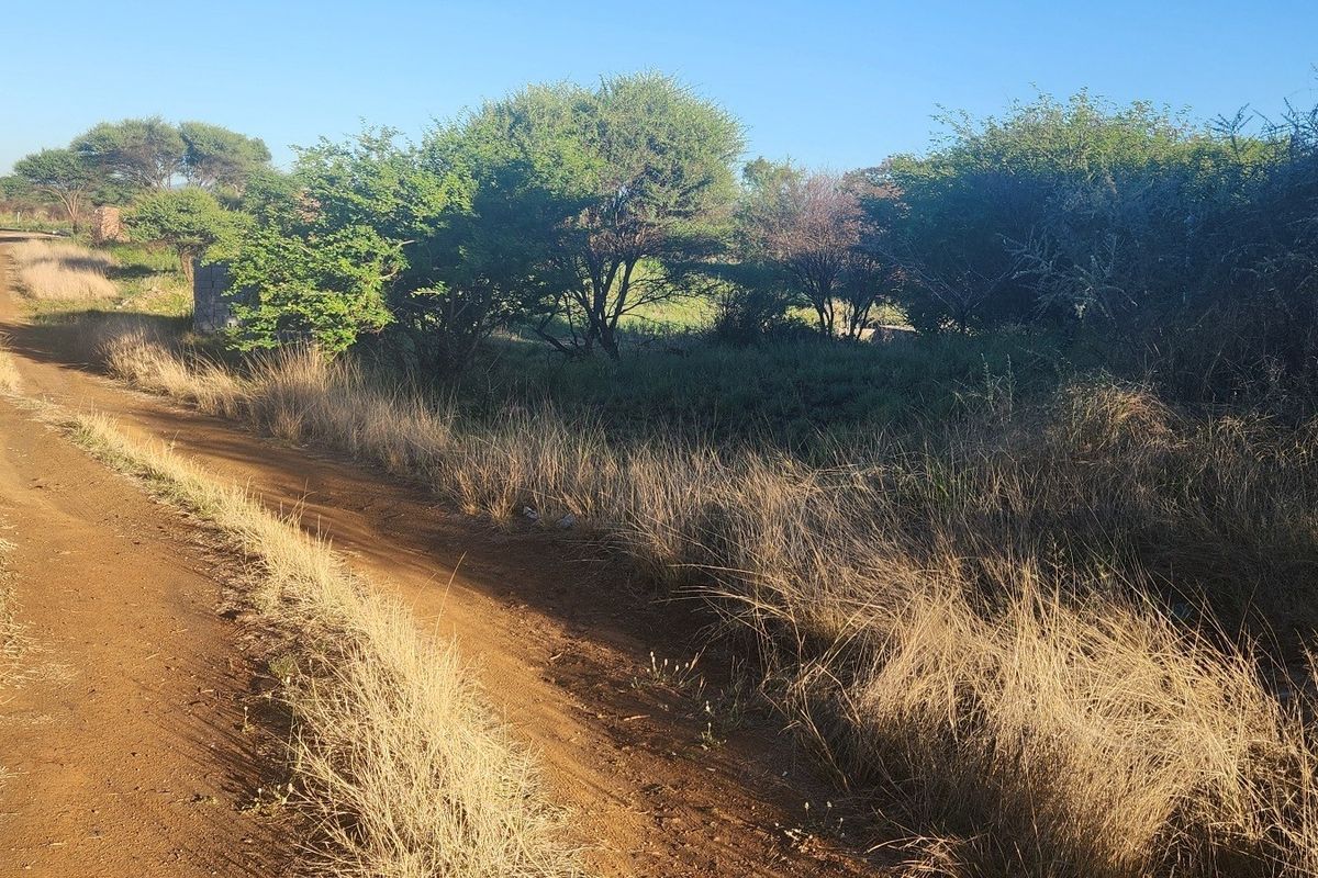 A view of a dirt access road leading into a vacant commercial land plot with natural vegetation and trees.