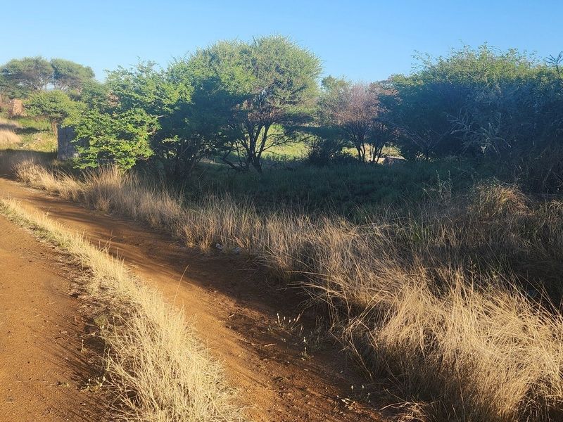 A view of a dirt access road leading into a vacant commercial land plot with natural vegetation and trees.