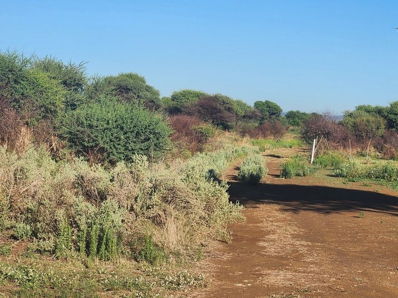 A view of an undeveloped commercial land plot featuring a dirt access path and natural vegetation under a clear sky.