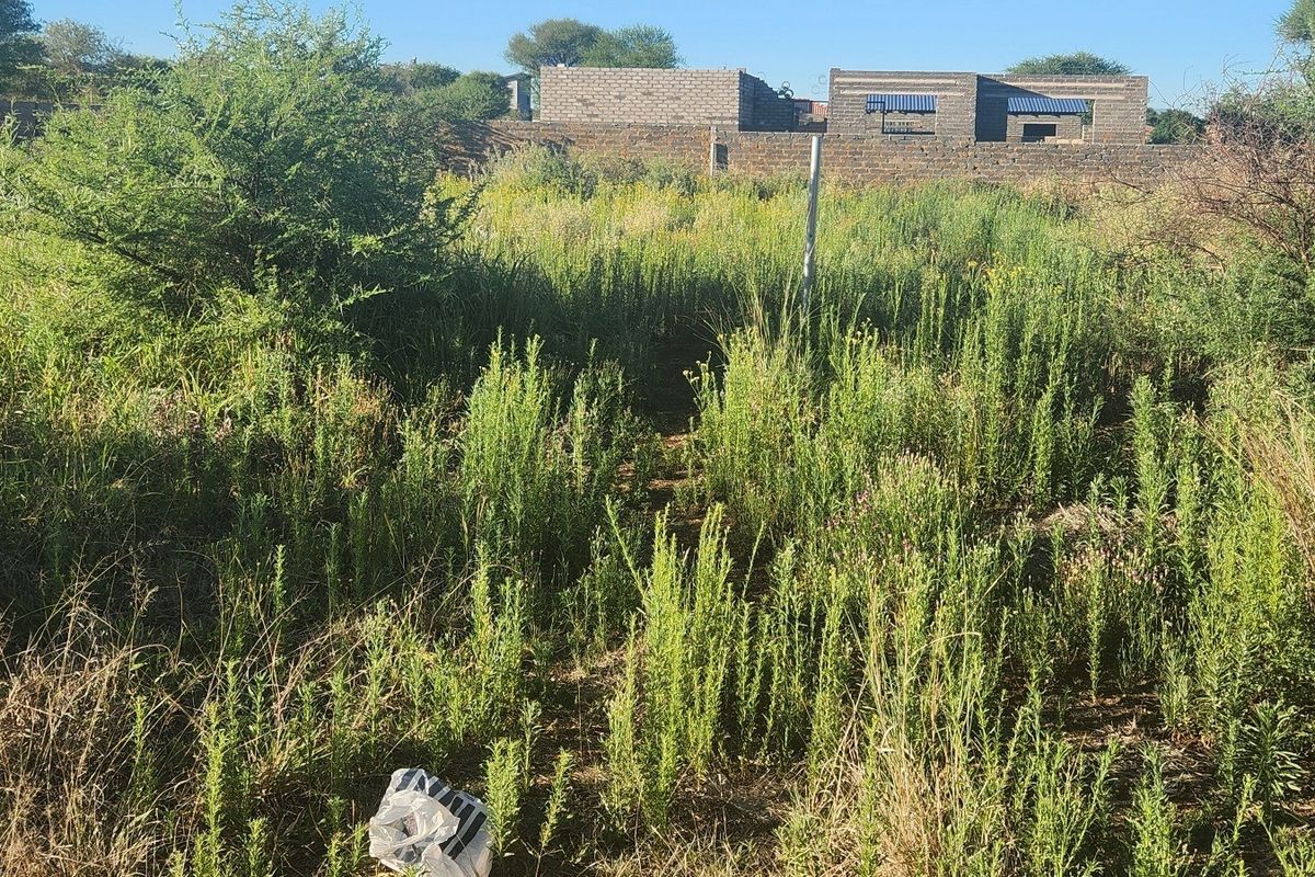 A vacant commercial land plot featuring overgrown vegetation and a partially constructed masonry building structure at the rear boundary.