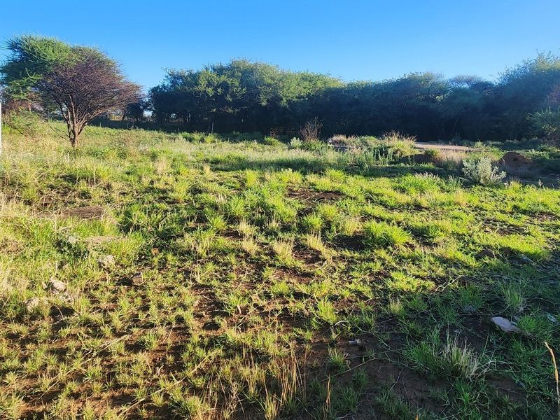 A view of a vacant commercial land plot featuring natural vegetation and open grassland.