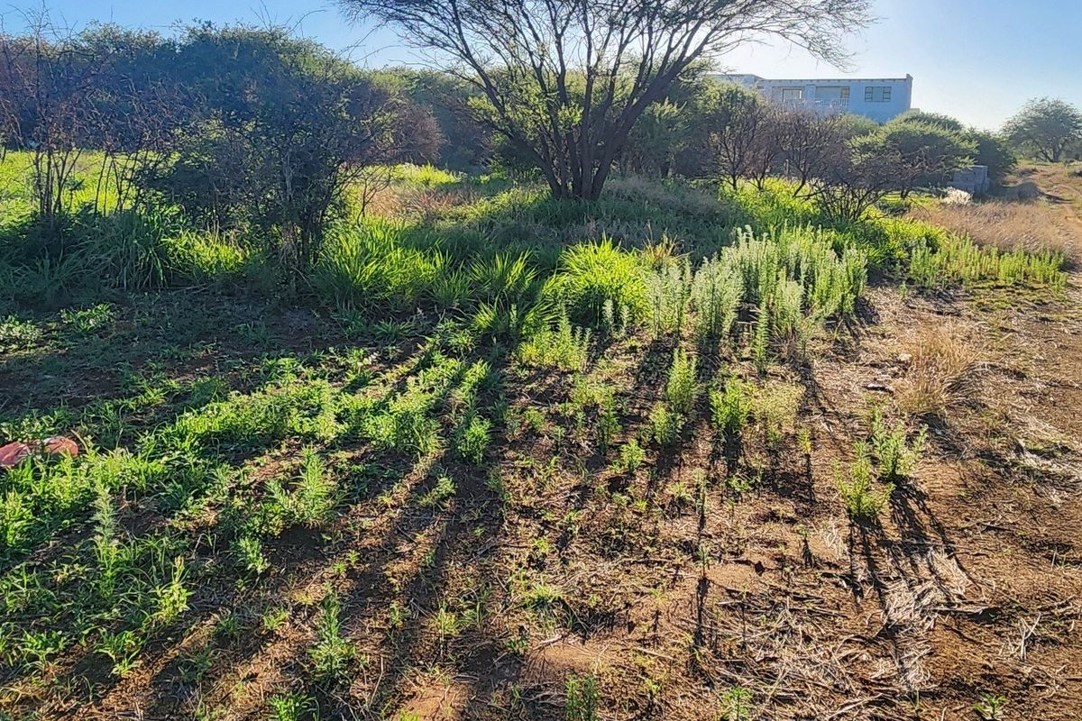 A view of the vacant commercial land featuring natural vegetation and an unpaved access track.
