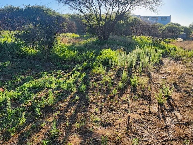 A view of the vacant commercial land featuring natural vegetation and an unpaved access track.