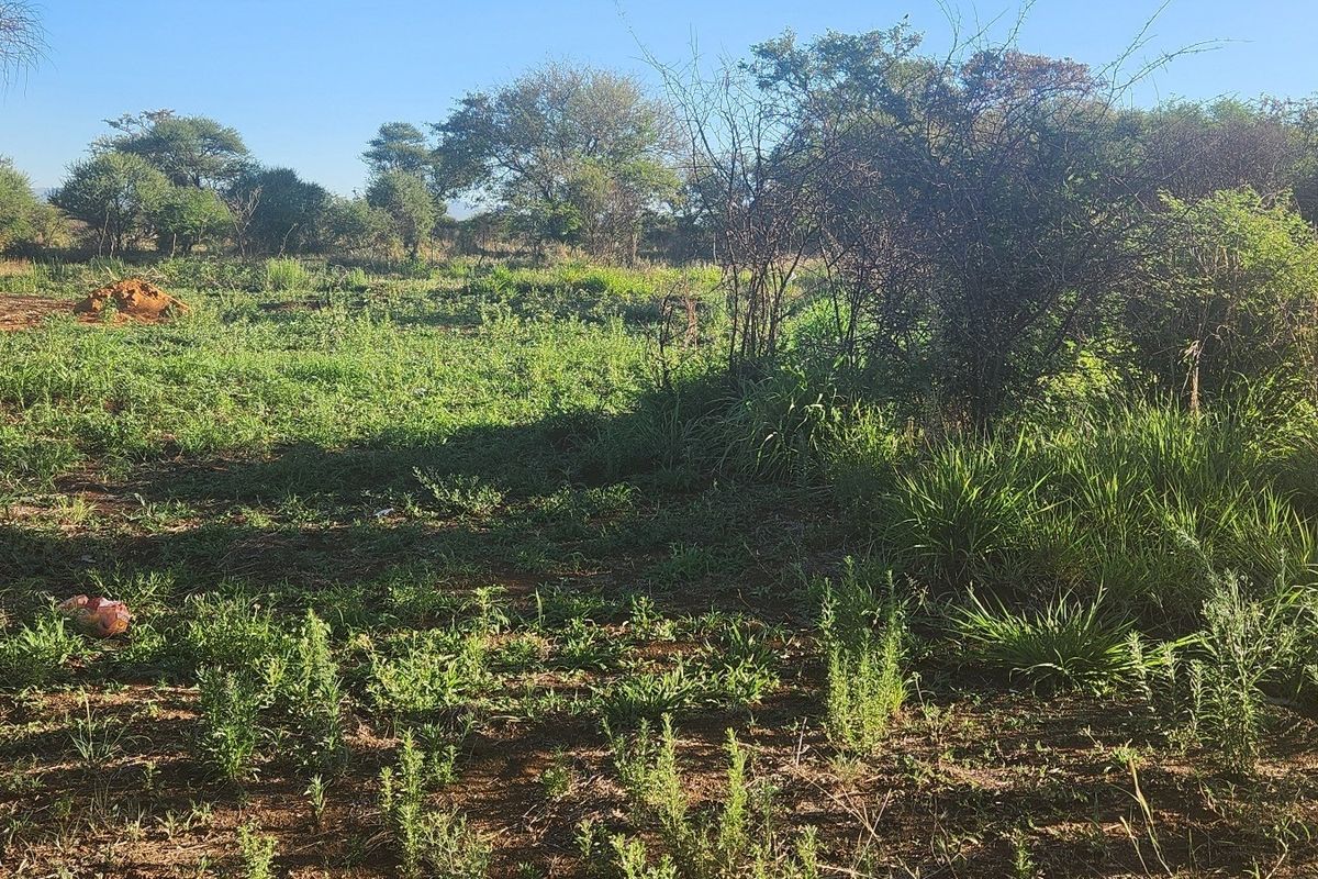 A view of the vacant commercial land featuring natural vegetation, grass, and mature trees across the property.