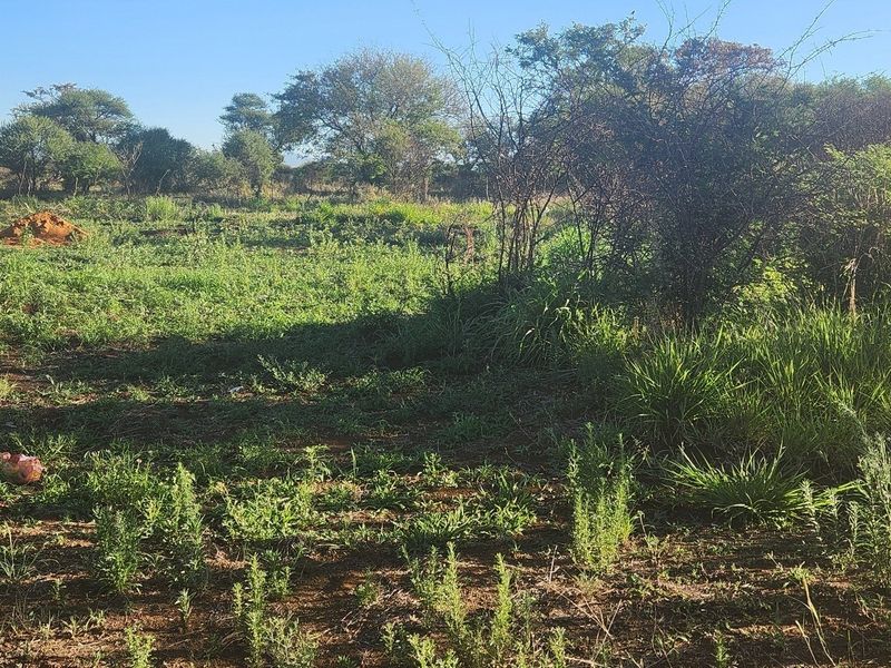 A view of the vacant commercial land featuring natural vegetation, grass, and mature trees across the property.